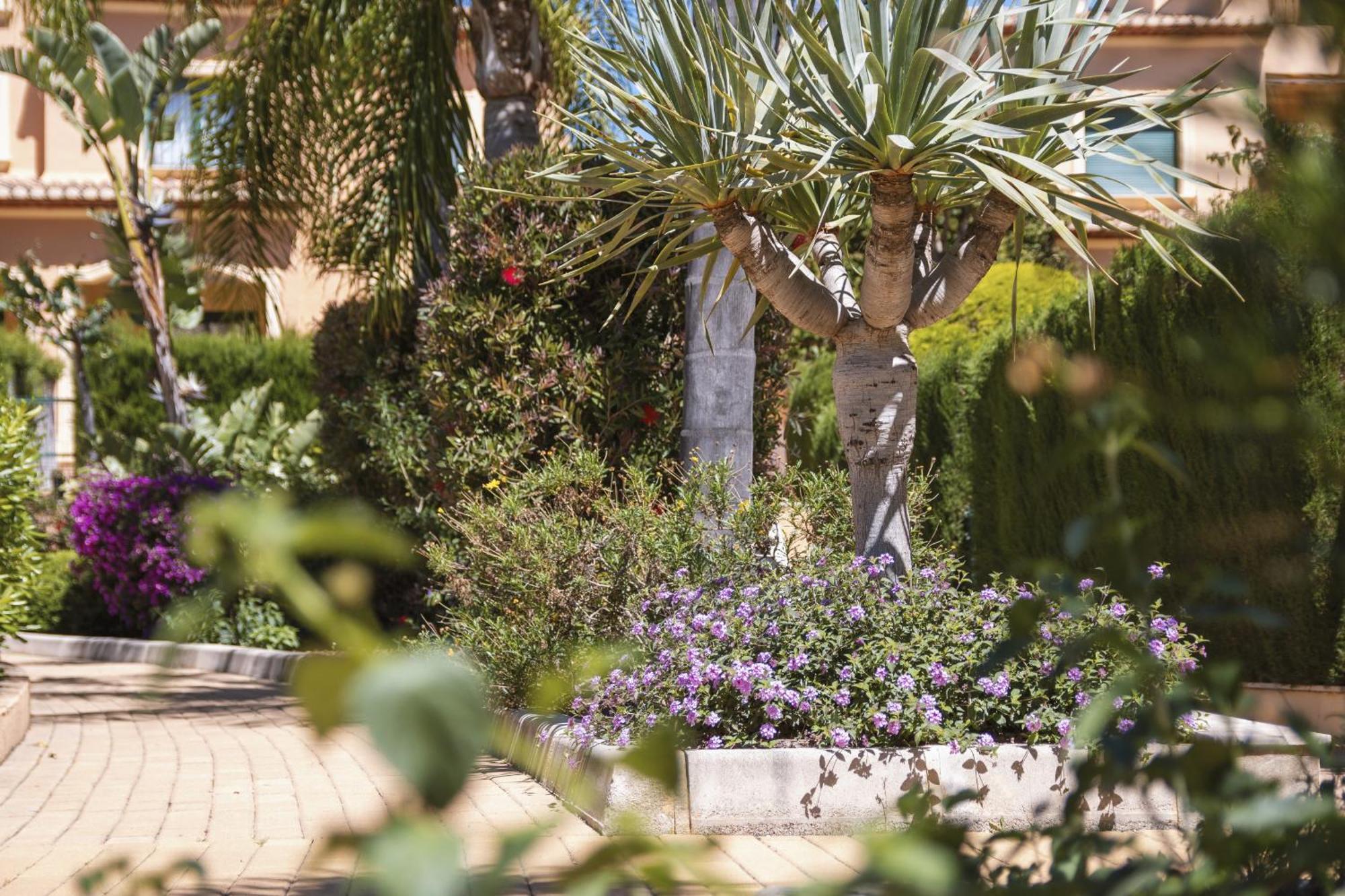 Floridamar Apartment Javea Exterior photo