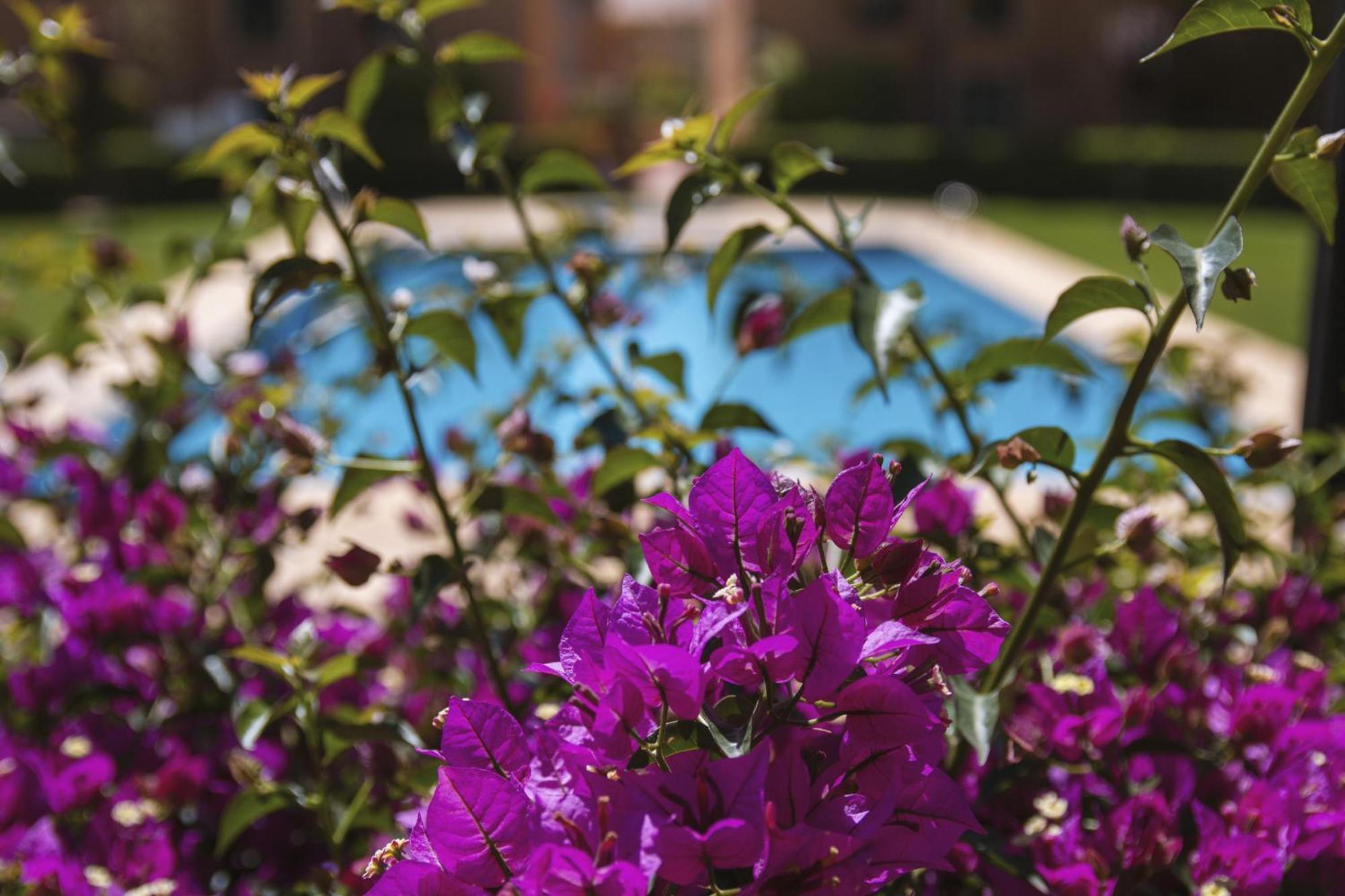 Floridamar Apartment Javea Exterior photo